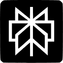 Perplexity AI logo