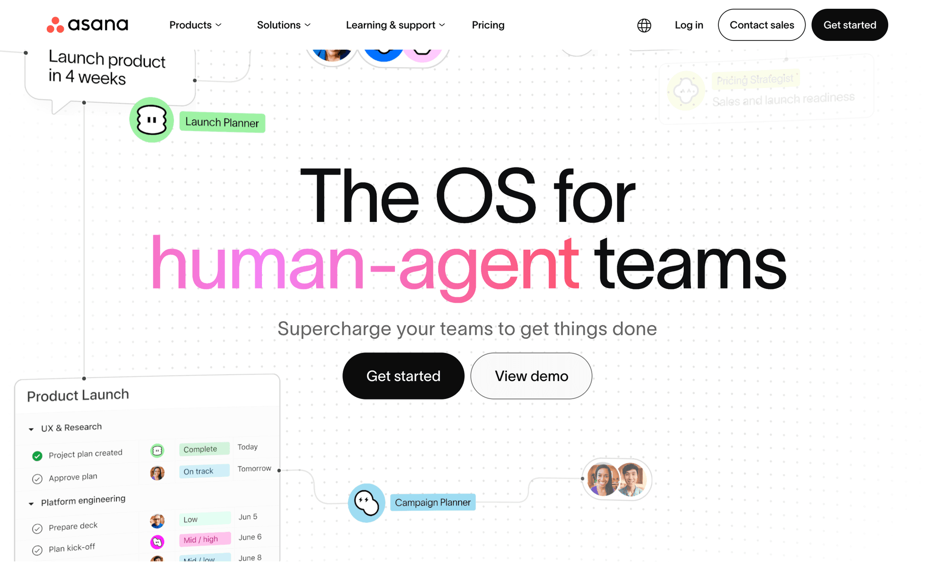 Asana screenshot